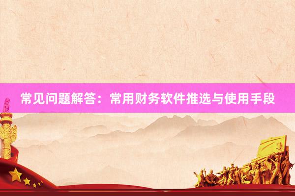 常见问题解答：常用财务软件推选与使用手段