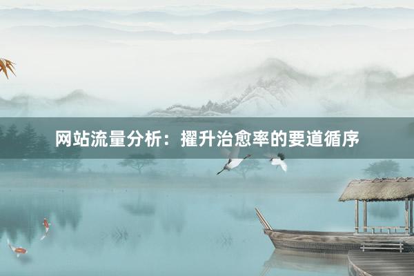 网站流量分析：擢升治愈率的要道循序