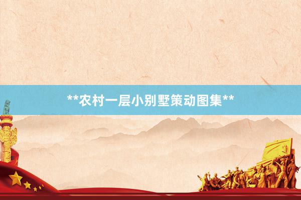 **农村一层小别墅策动图集**