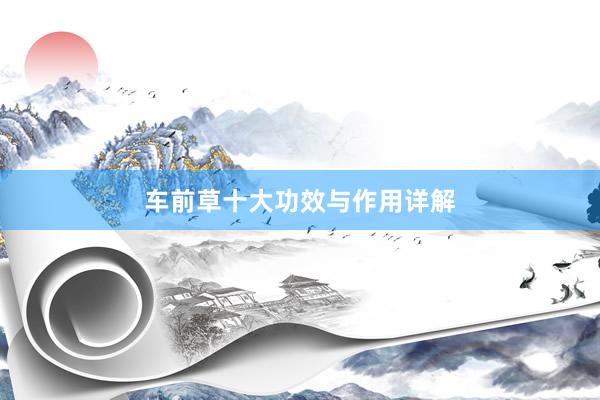 车前草十大功效与作用详解