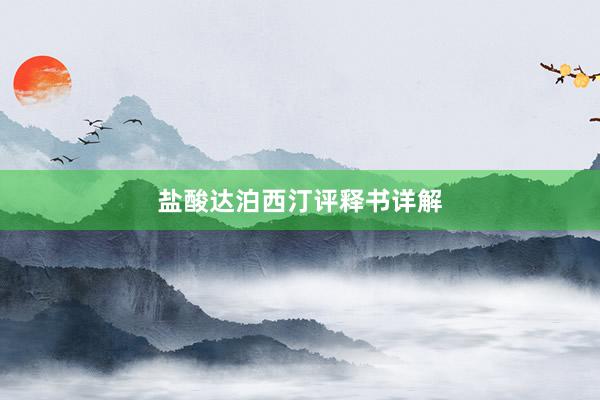 盐酸达泊西汀评释书详解